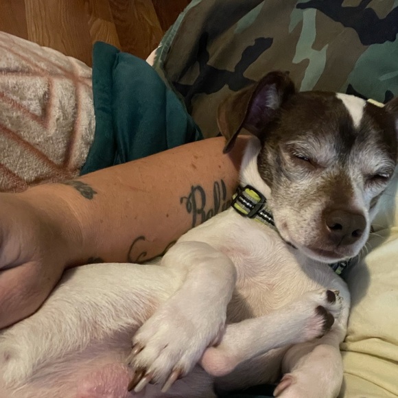 Meet your Posher, Mary - Picture 1 of 1